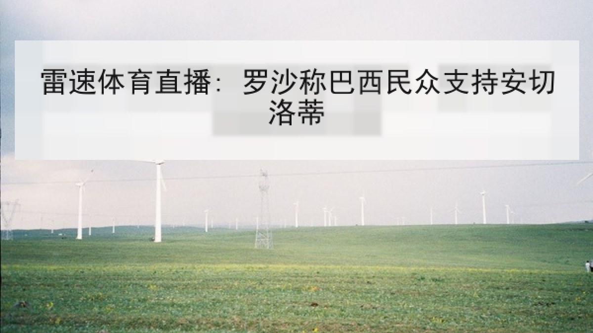 雷速体育直播: 罗沙称巴西民众支持安切洛蒂