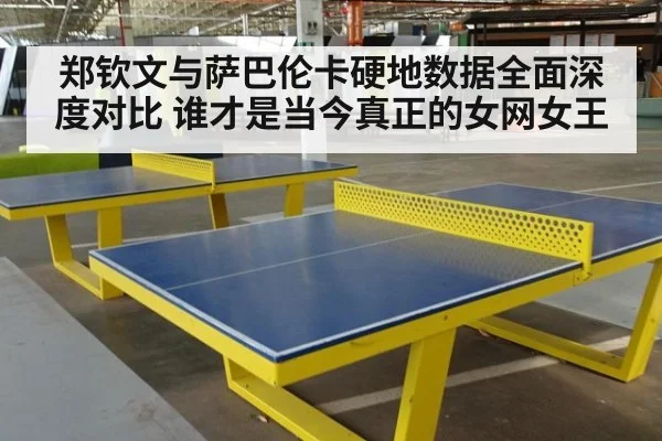 郑钦文与萨巴伦卡硬地数据全面深度对比 谁才是当今真正的女网女王