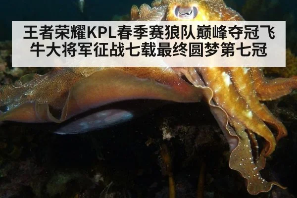 王者荣耀KPL春季赛狼队巅峰夺冠飞牛大将军征战七载最终圆梦第七冠